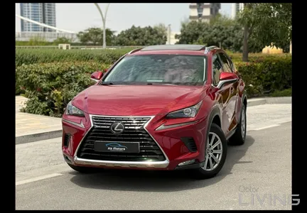 Lexus NX 300  2021
